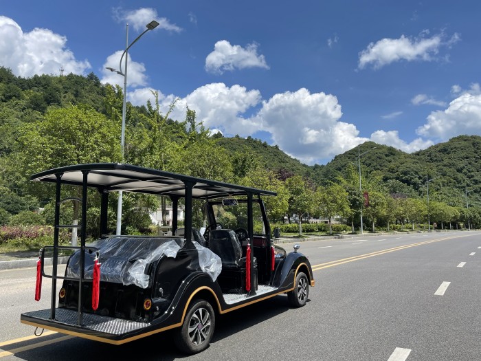湖南电动观光车,湖南燃油观光车,湖南电动巡逻车,湖南电动老爷车,湖南电动货车,湖南力乘电动科技有限公司